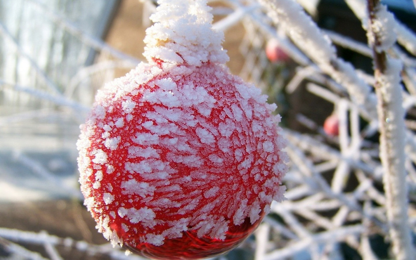Оледеневший шар