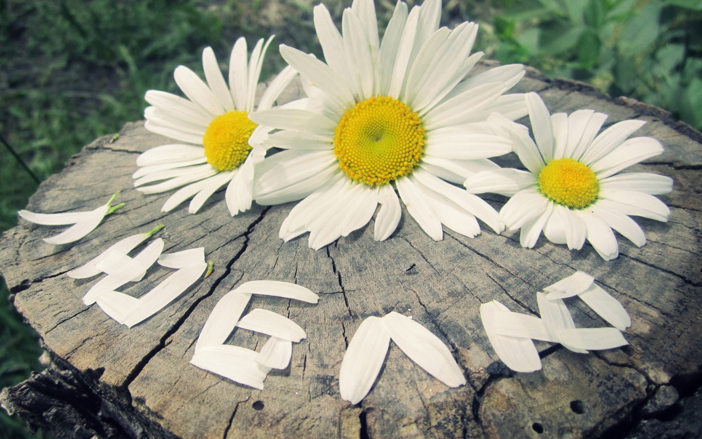 надпись Люблю