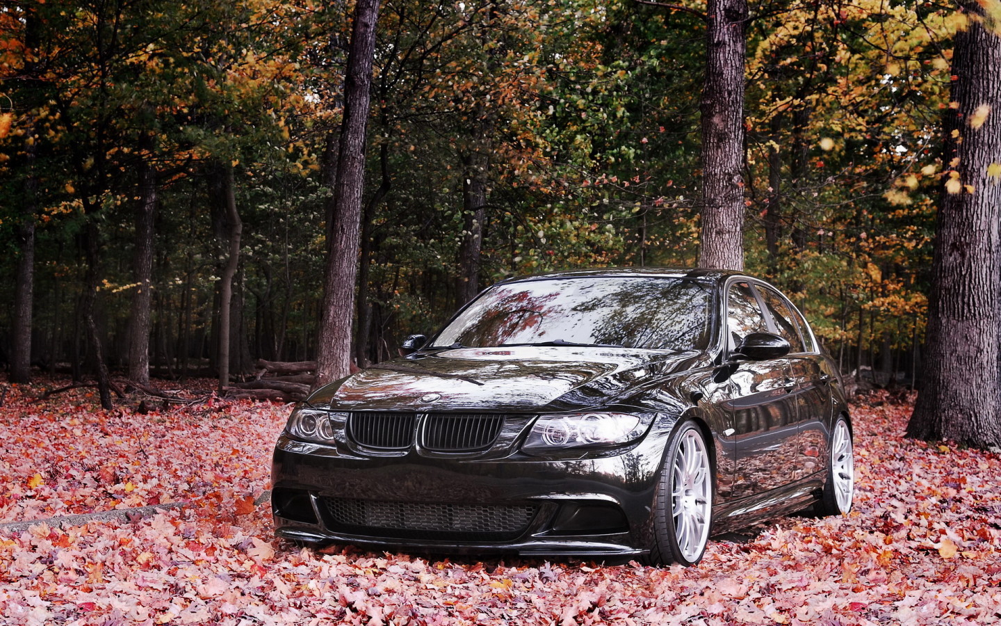 BMW 335i