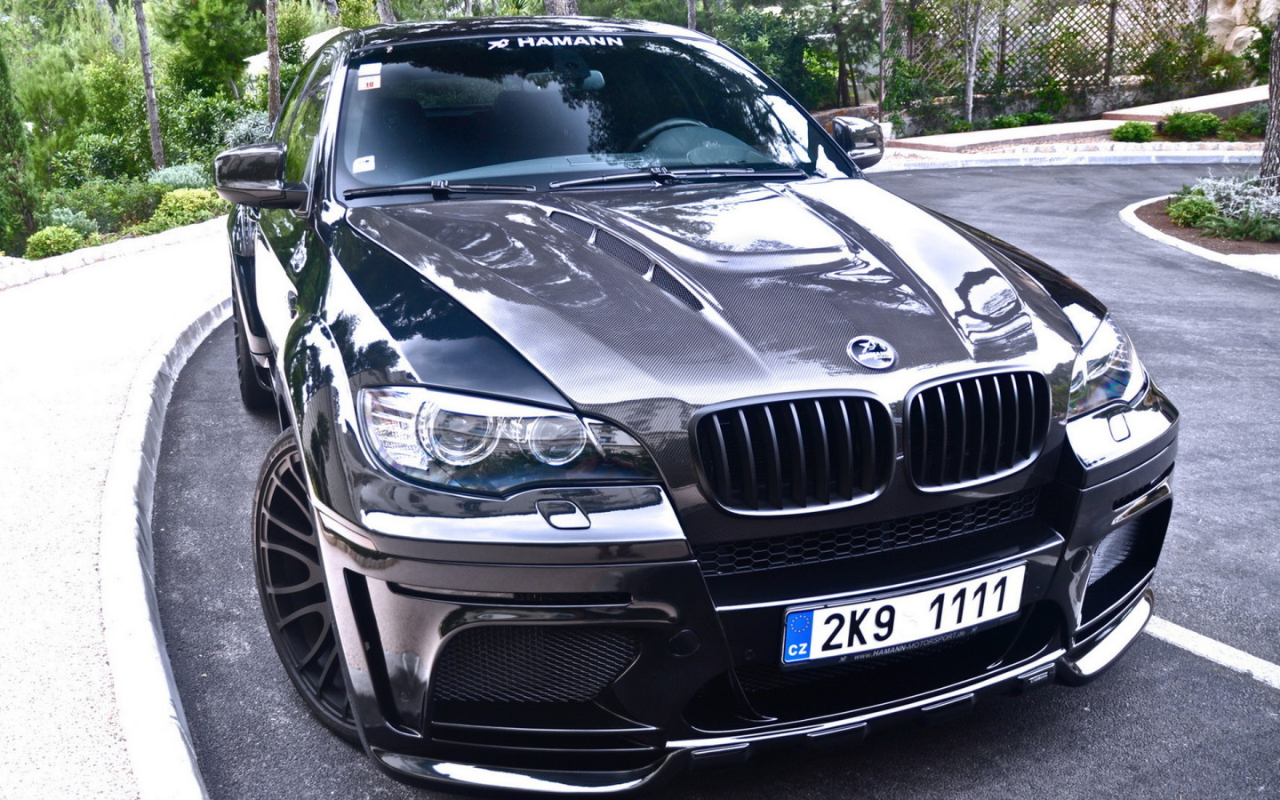 BMW X6 Hamann