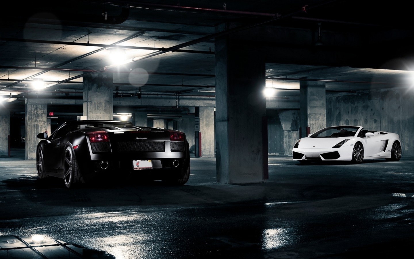 Lamborghini Gallardo White and Black
