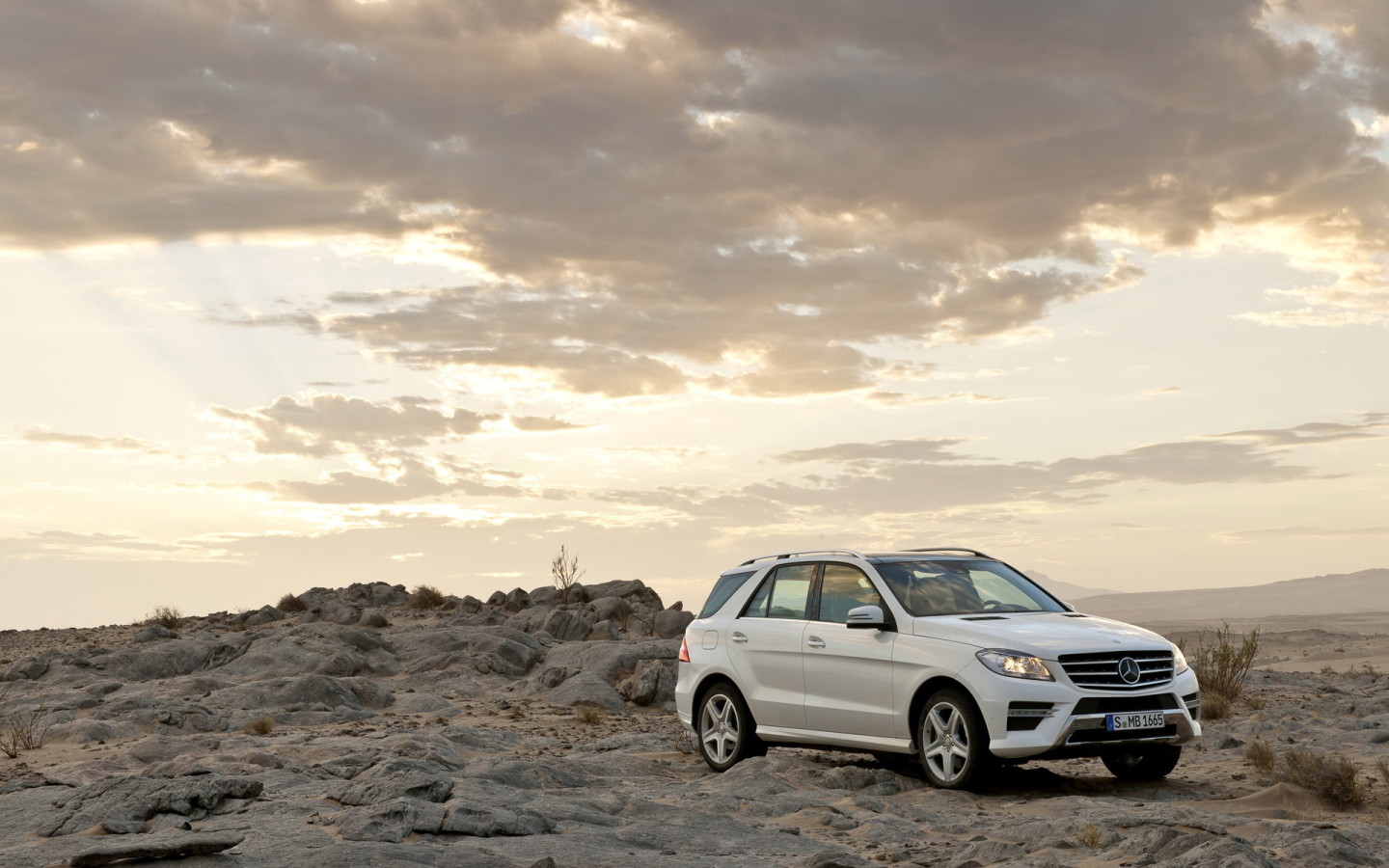 2012 Mercedes-Benz-M-Class