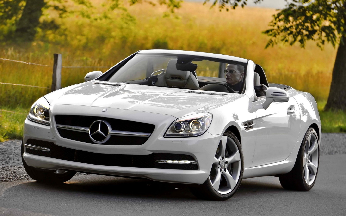 Mercedes Benz SLK 350