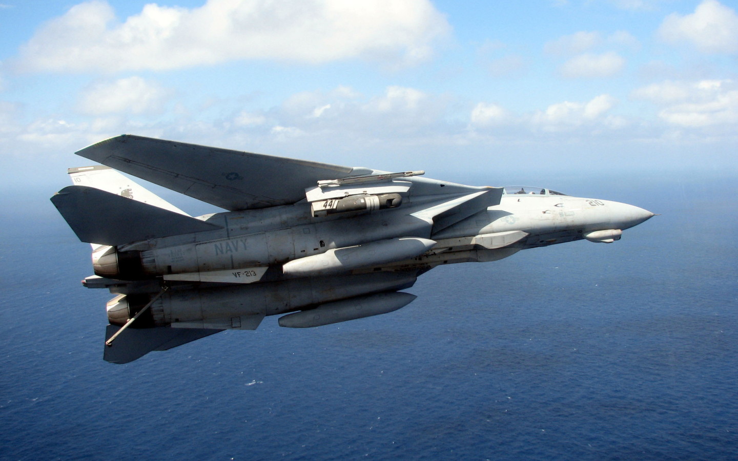 Grumman F-14 Tomcat