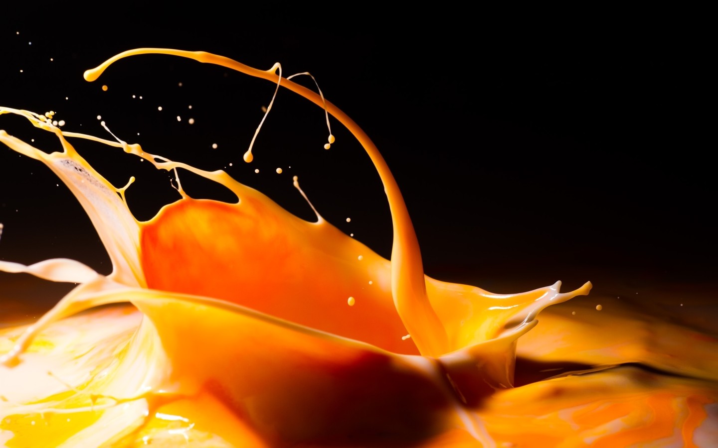 Брызги коктейля