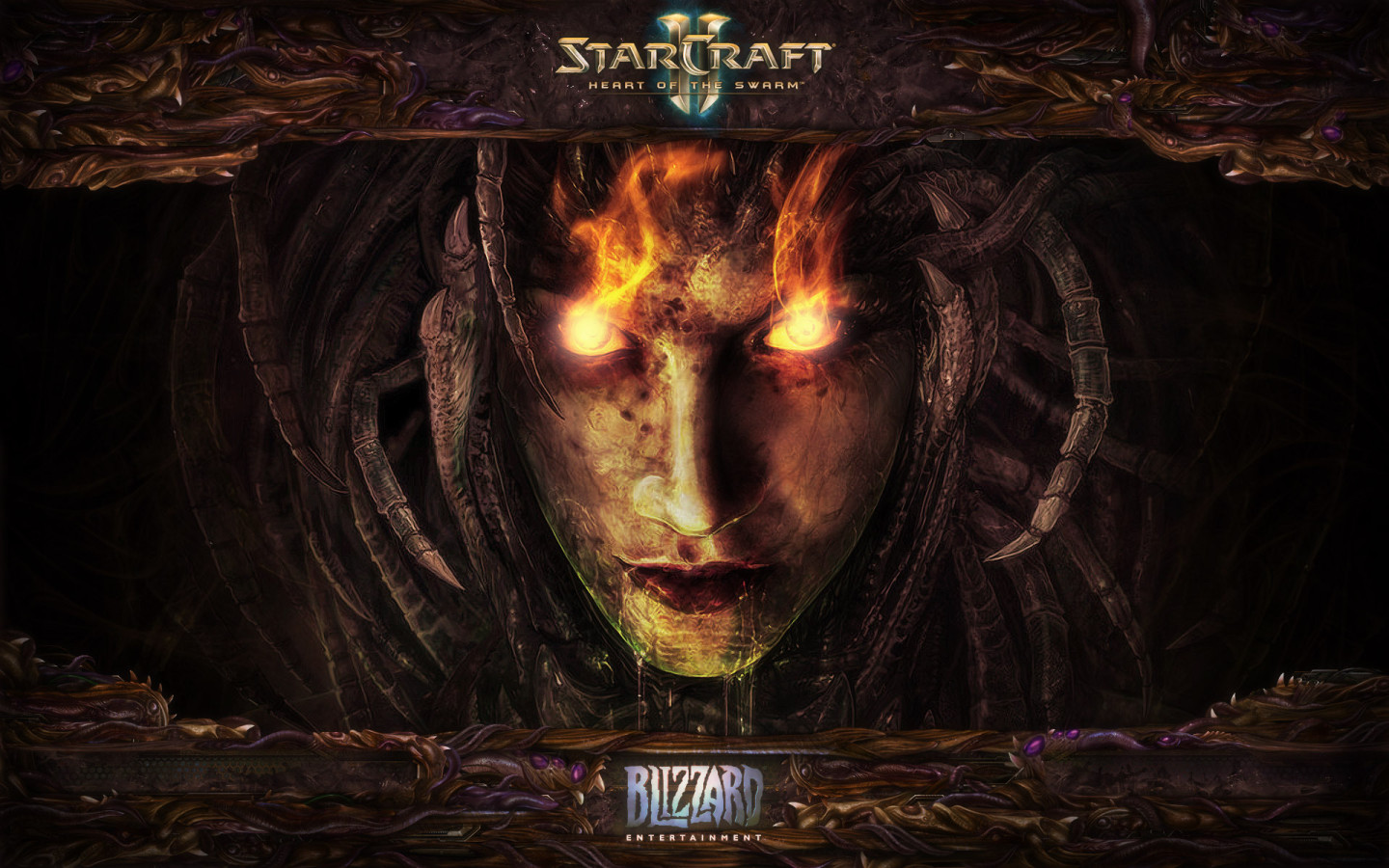 Starcraft 2: heart of the swarm