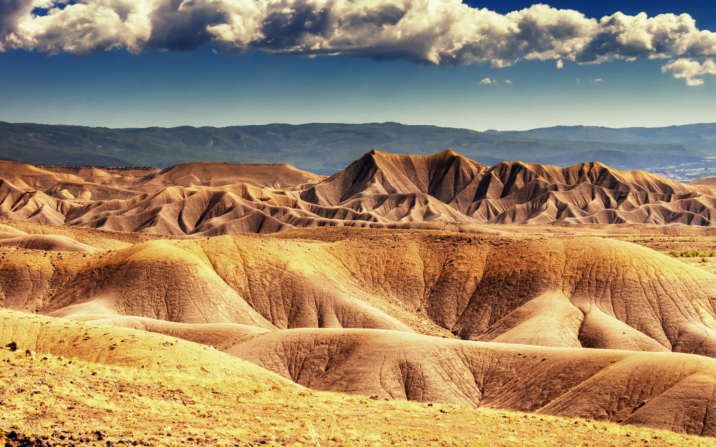 Пустыня в штате Колорадо