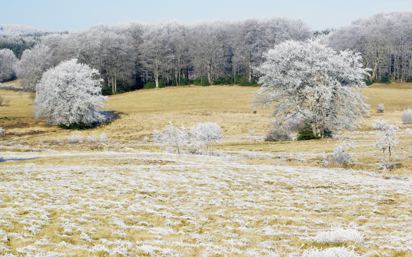 Холодным утром