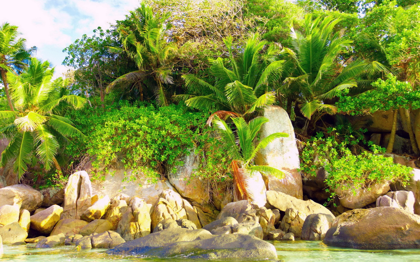 Природа тропиков