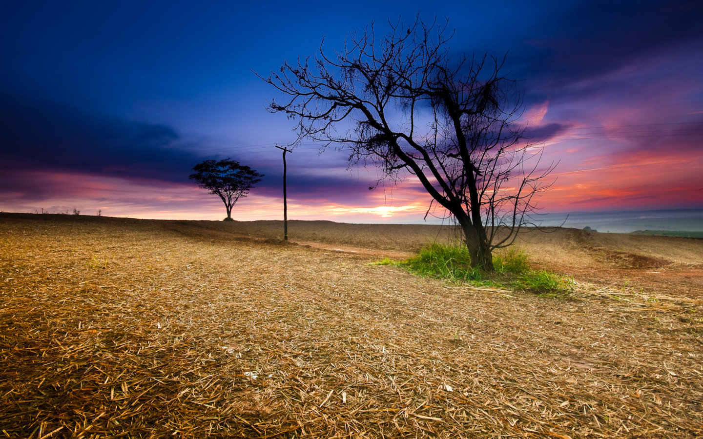 Закат в поле