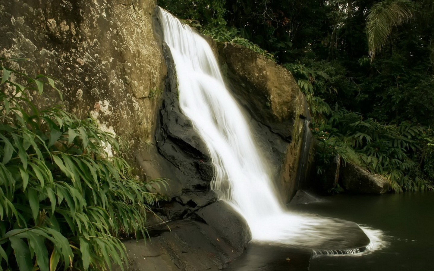 Маленький лесной водопад