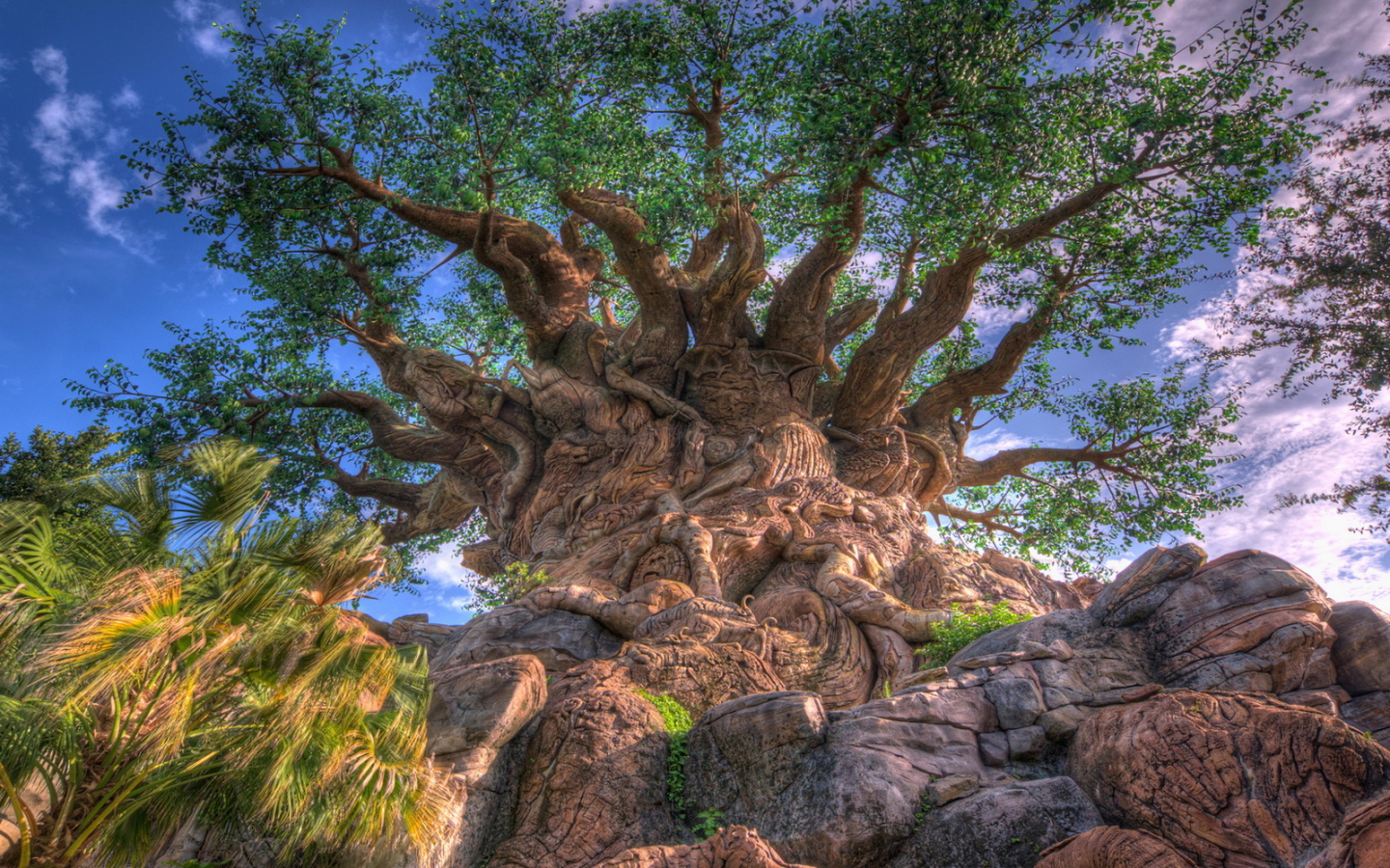 Дерево жизни