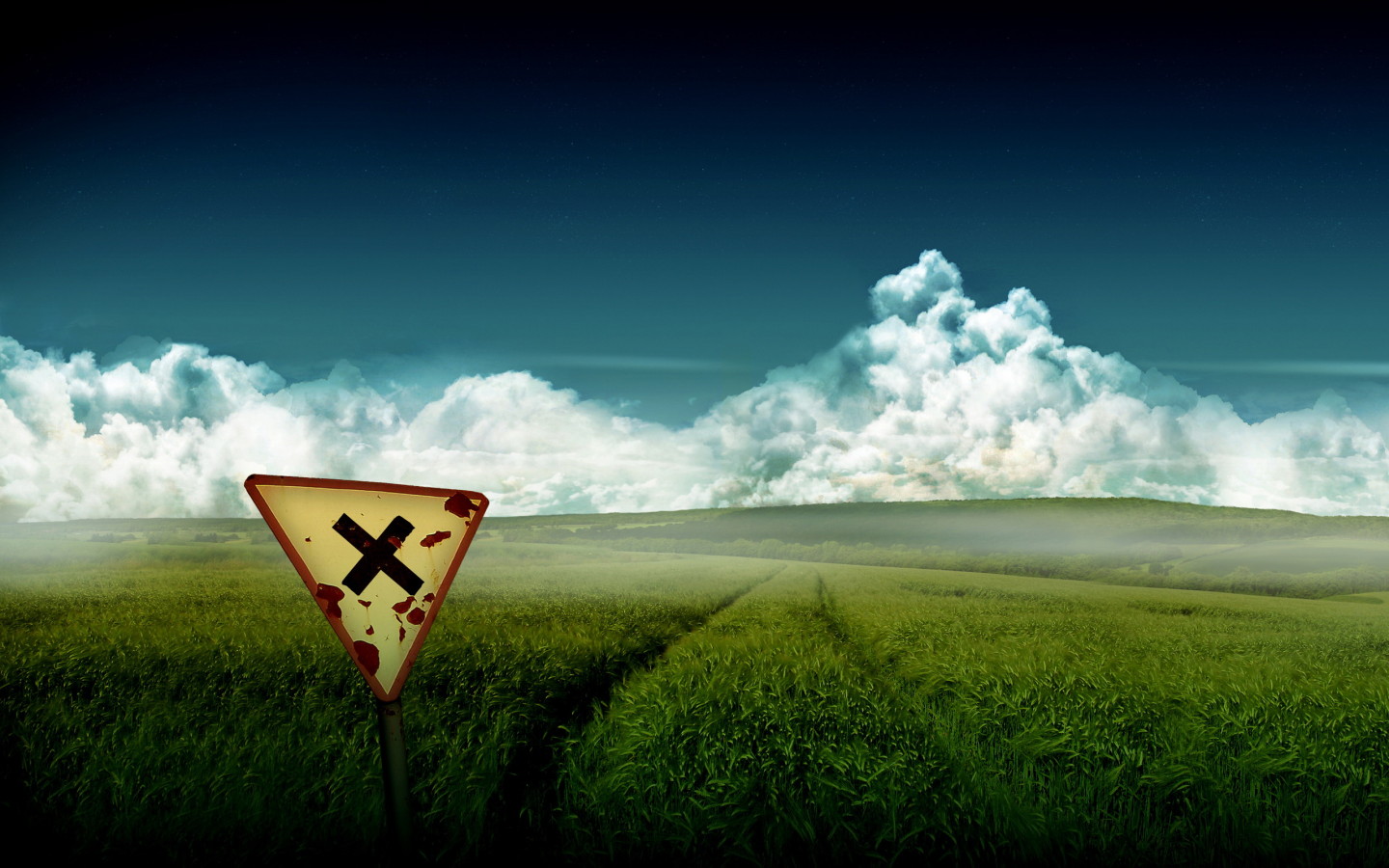 Зеленое поле