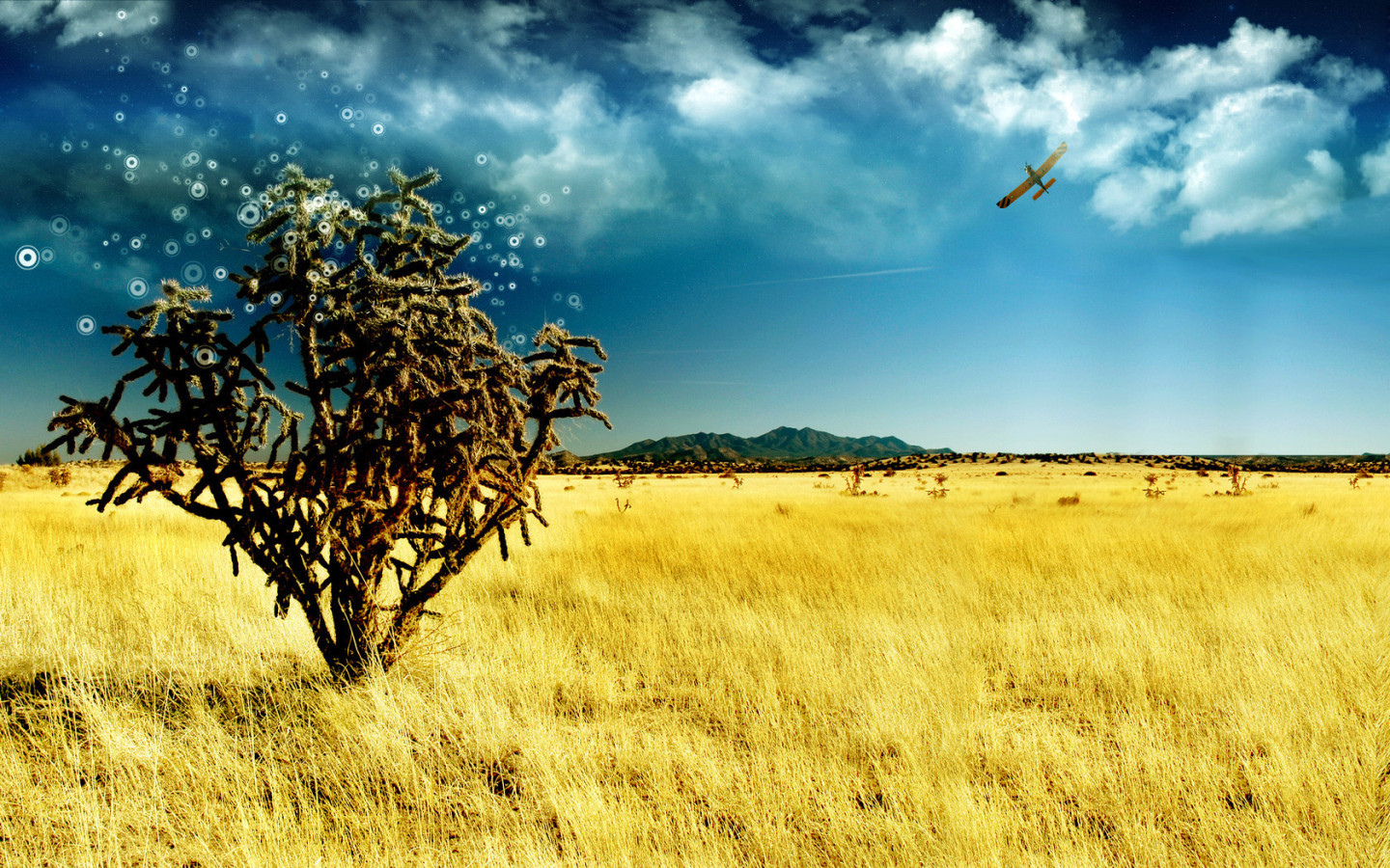 Волшебное дерево