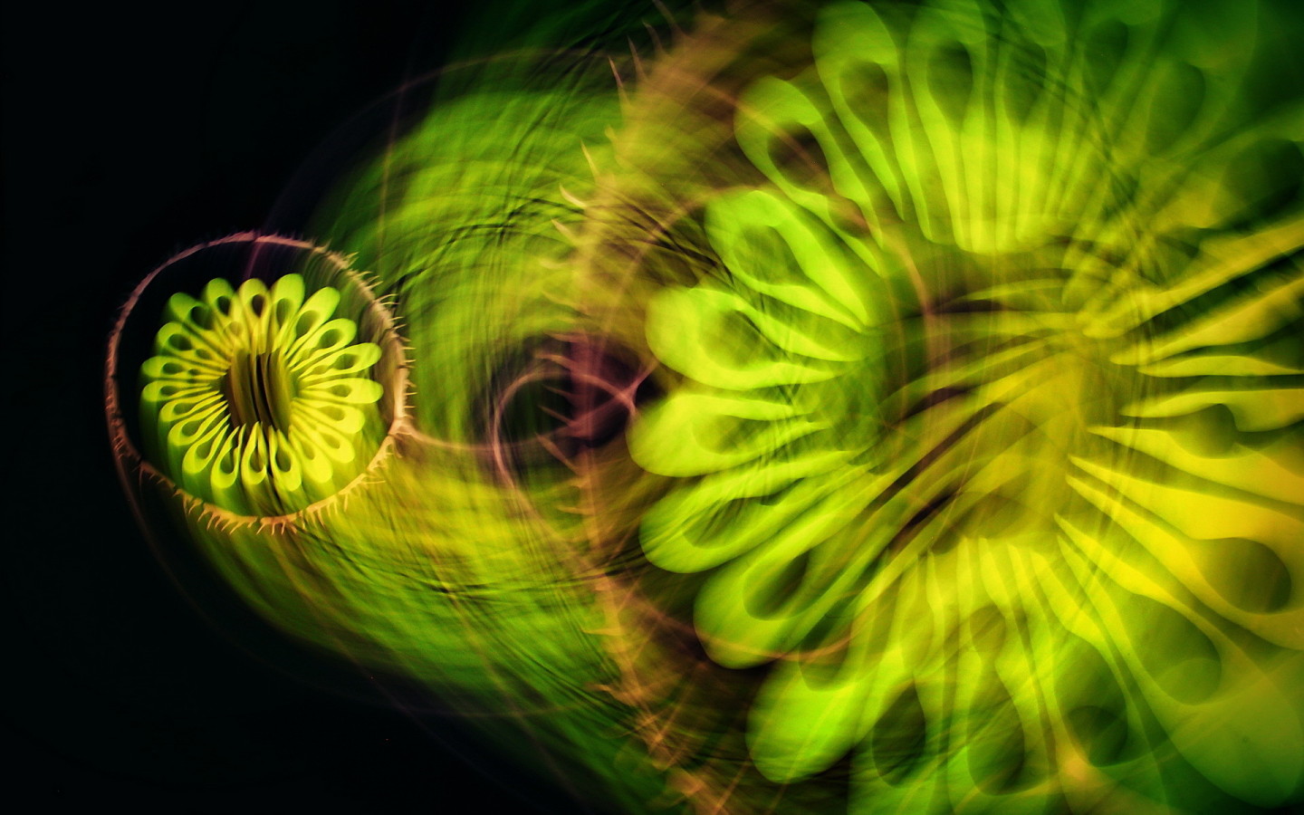 Зеленая абстракция