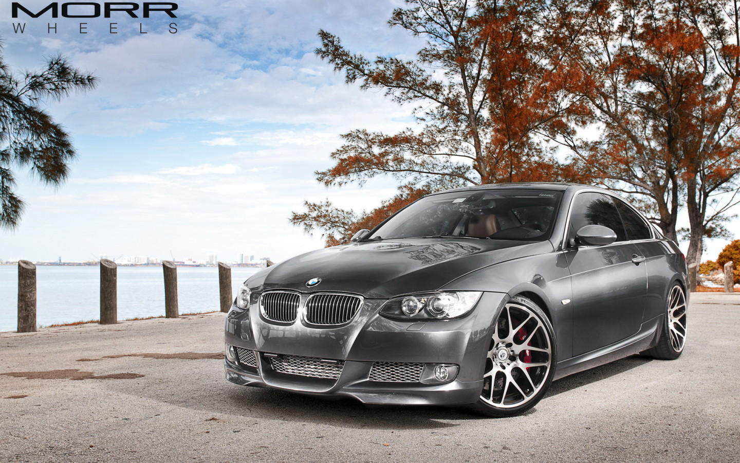 BMW 335