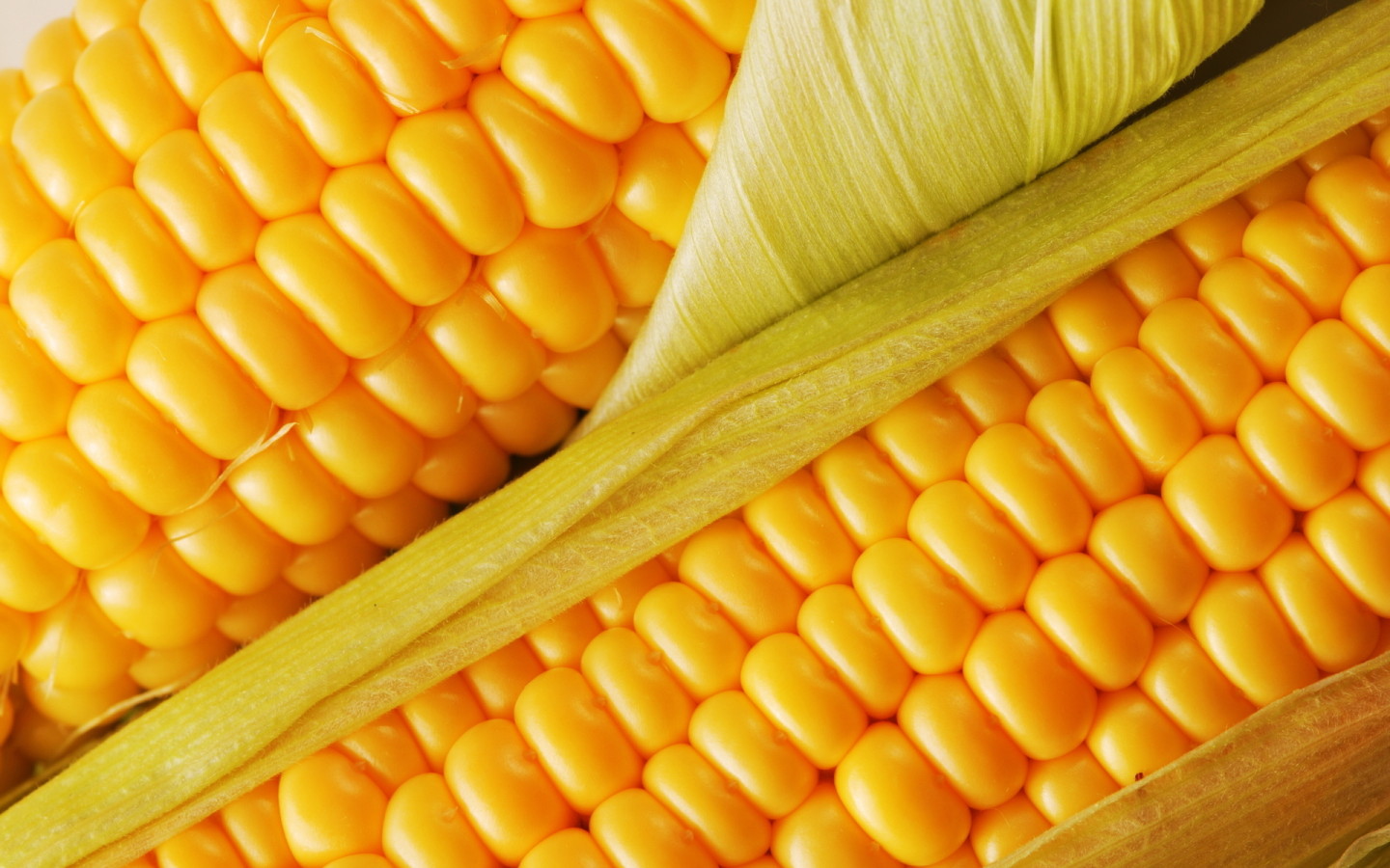 Сочная кукуруза