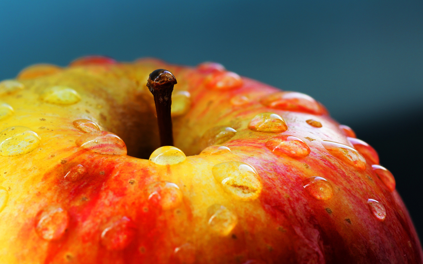 Мытое яблоко