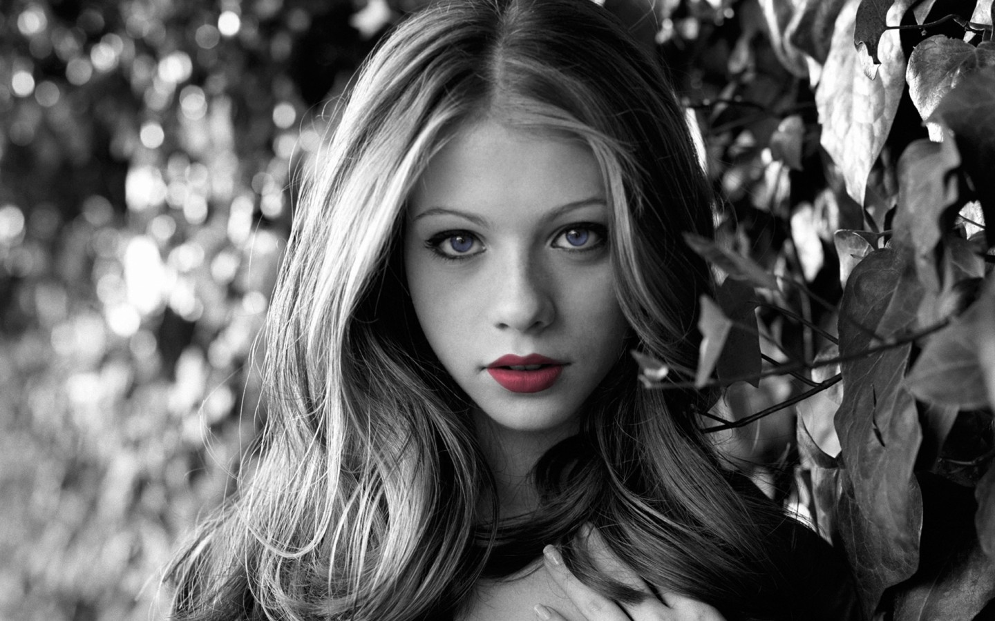 Мишель Tрахтенберг (Michelle Trachtenberg)