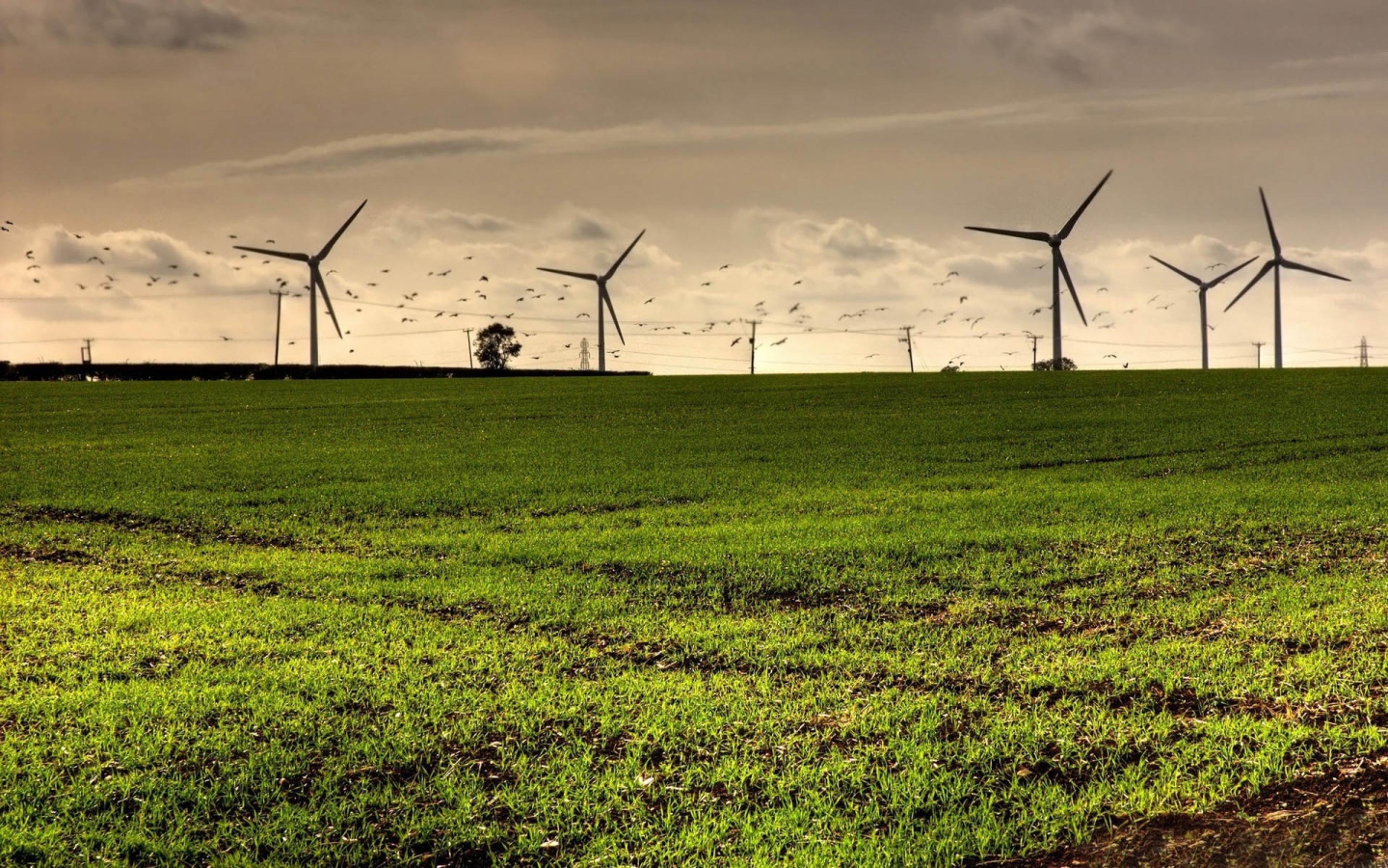 Турбины в полях
