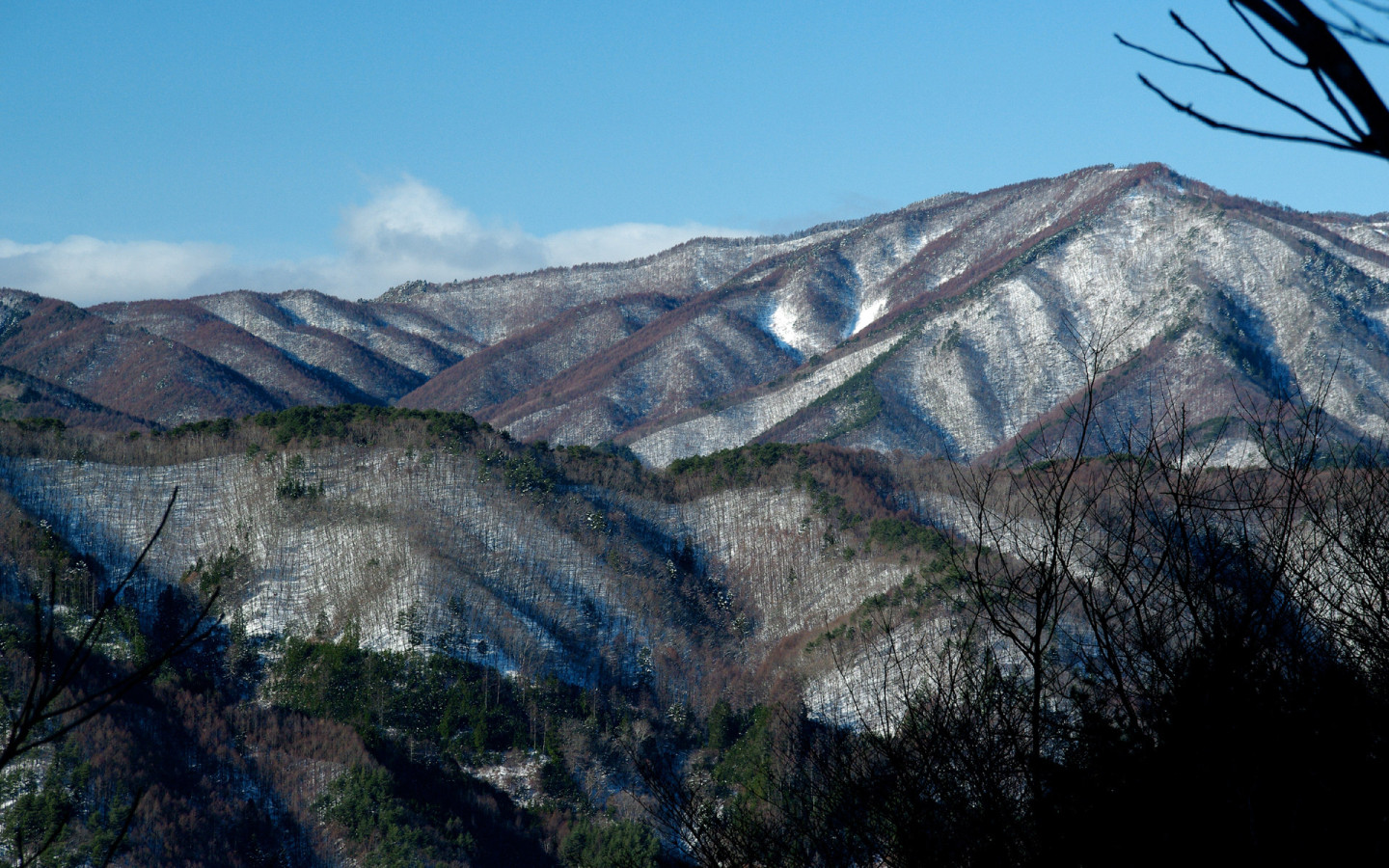 Заснеженные горы