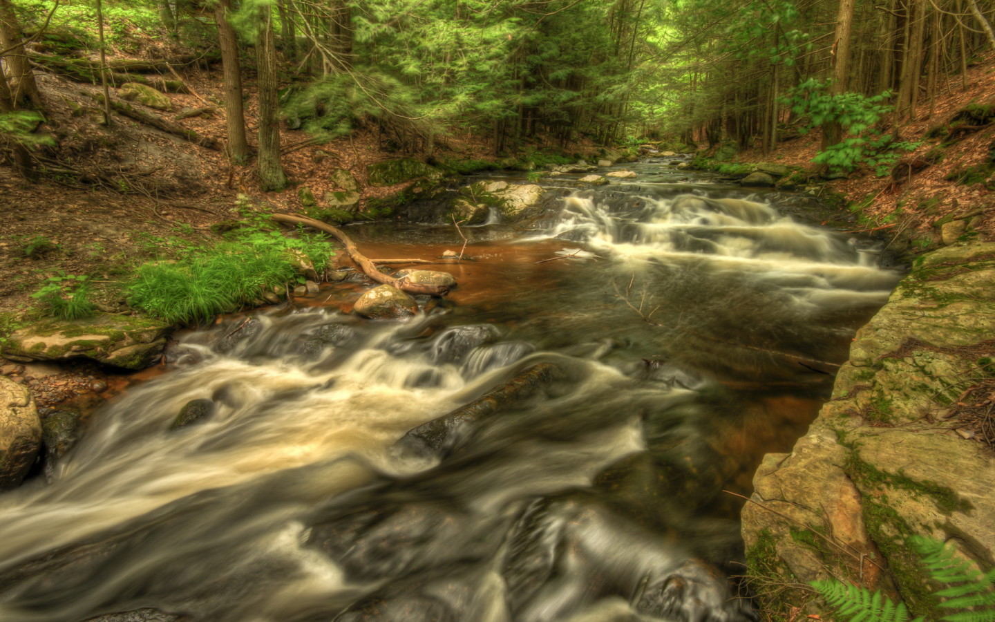 Речка в лесу
