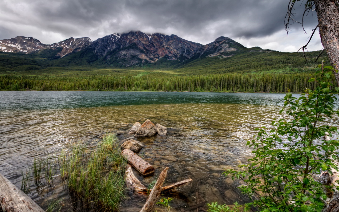 Каменистая река