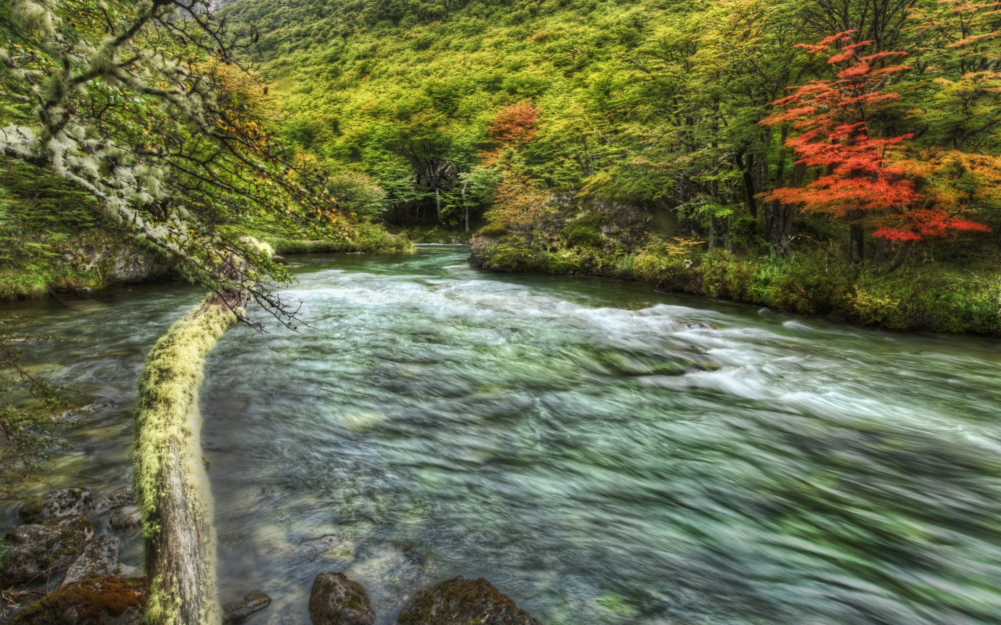 Быстрая горная речка