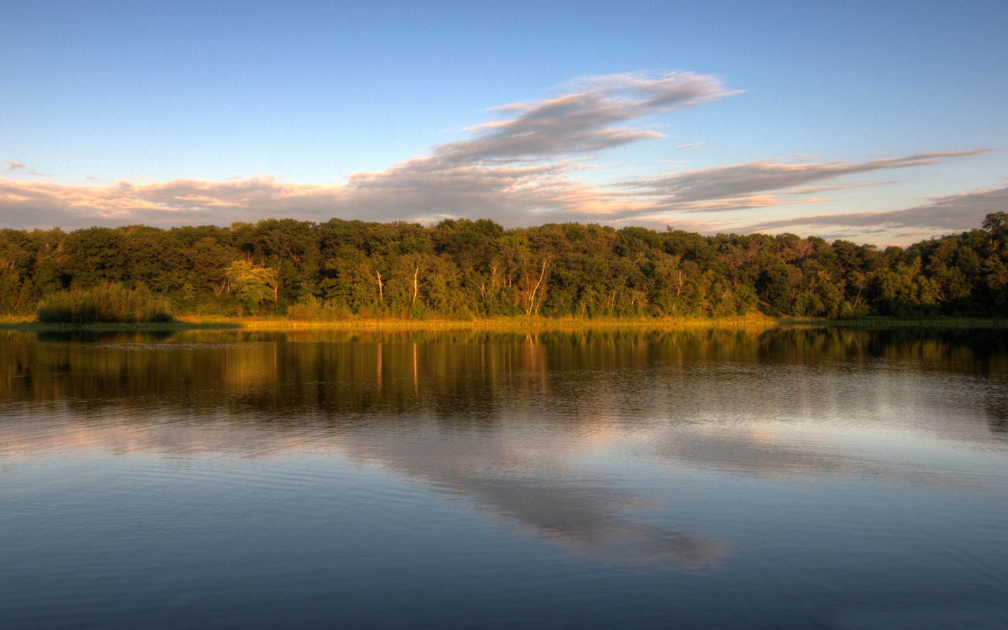 Озеро у леса