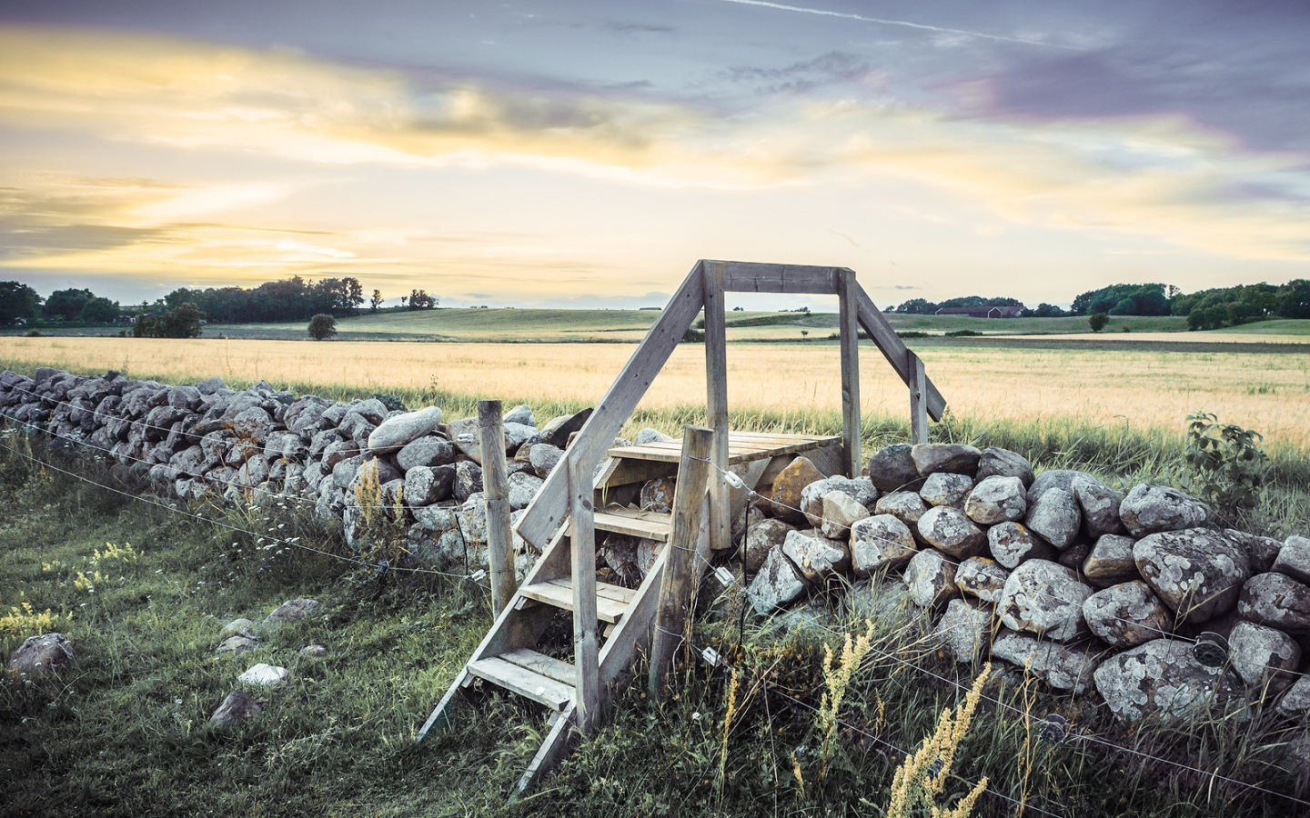 Лестница в поле