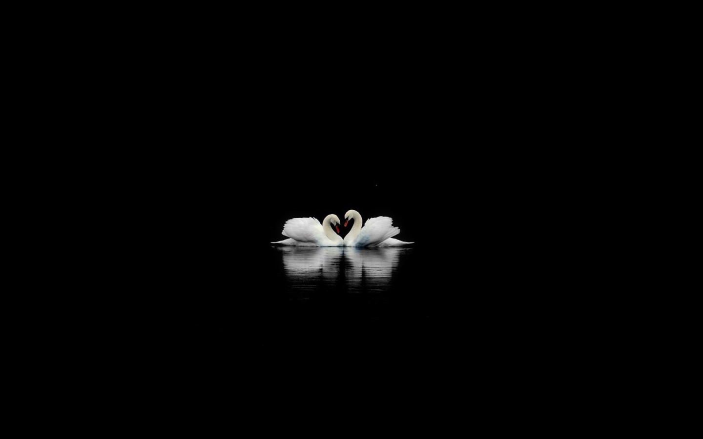 	 Two swans on a black background