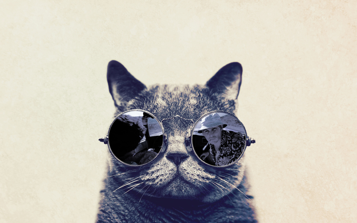 Кот в очках Страх в Вегасе