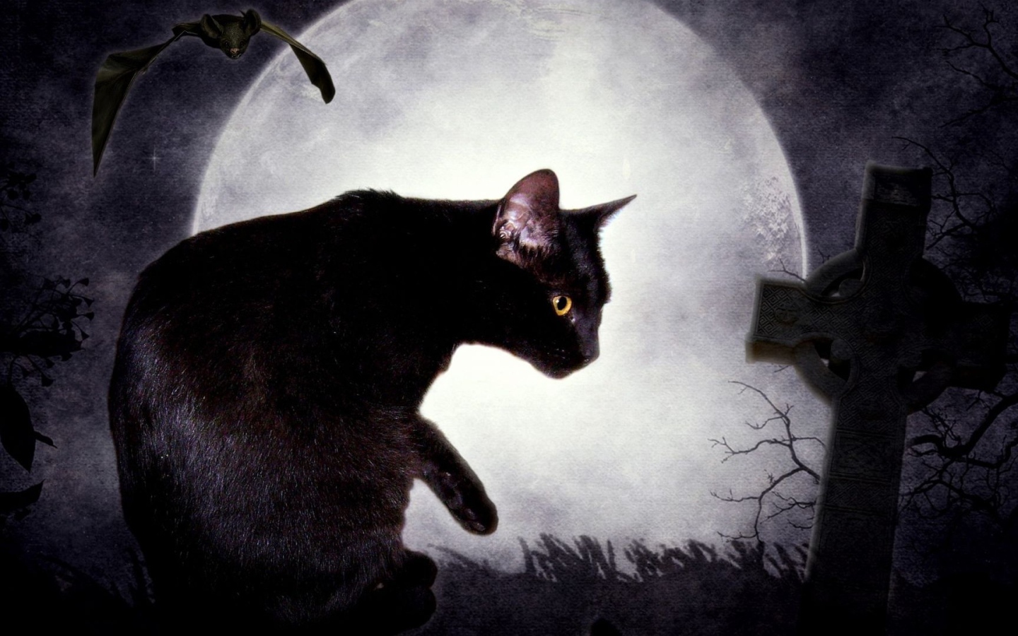 Черная кошка и луна