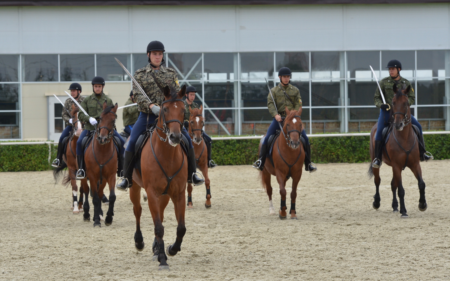 Верховая езда на лошади