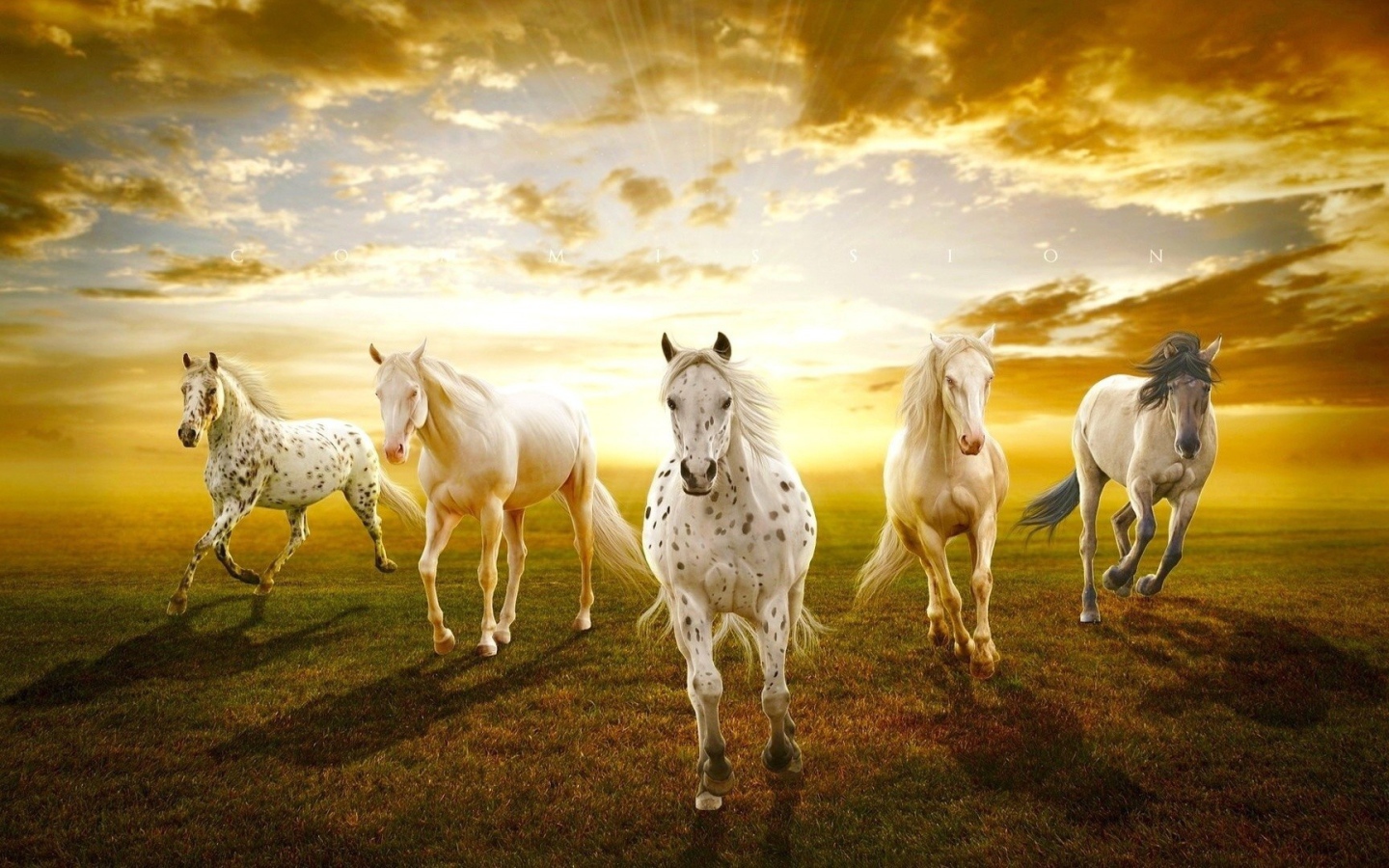 Закат с лошадями