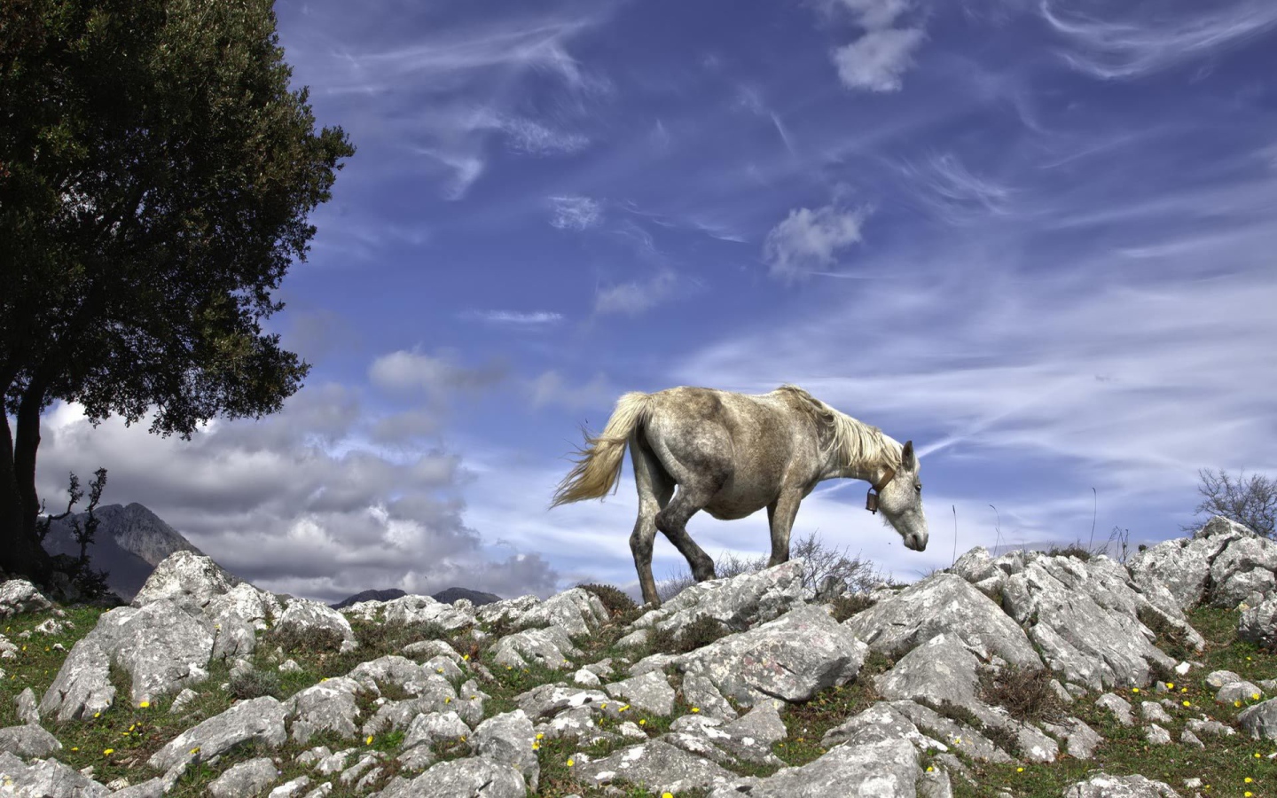 Серебряная лошадь