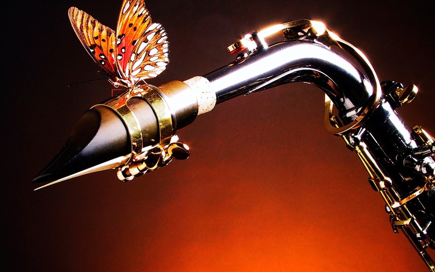 Бабочка на саксофоне