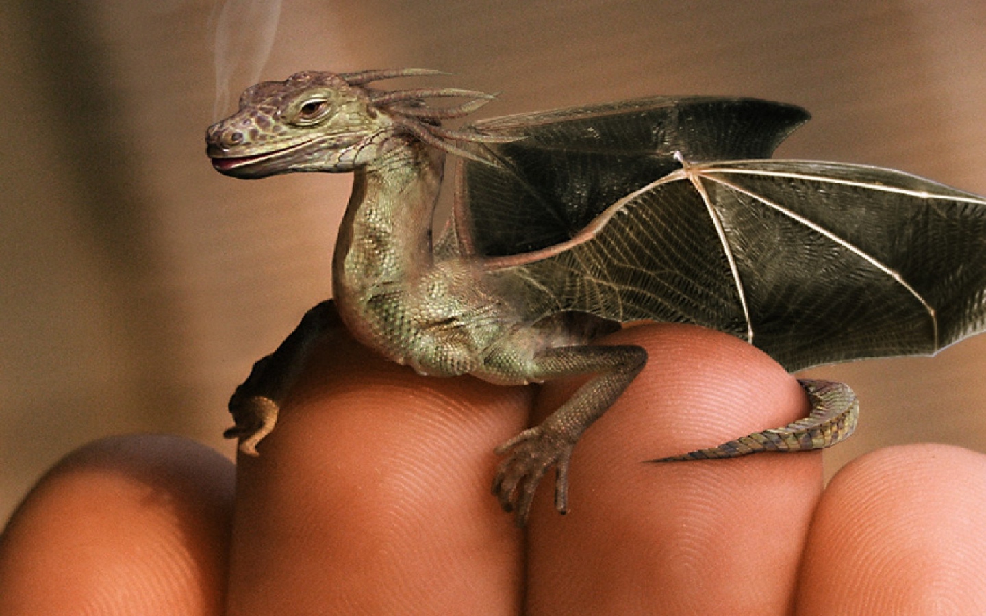 Дракон на пальцах