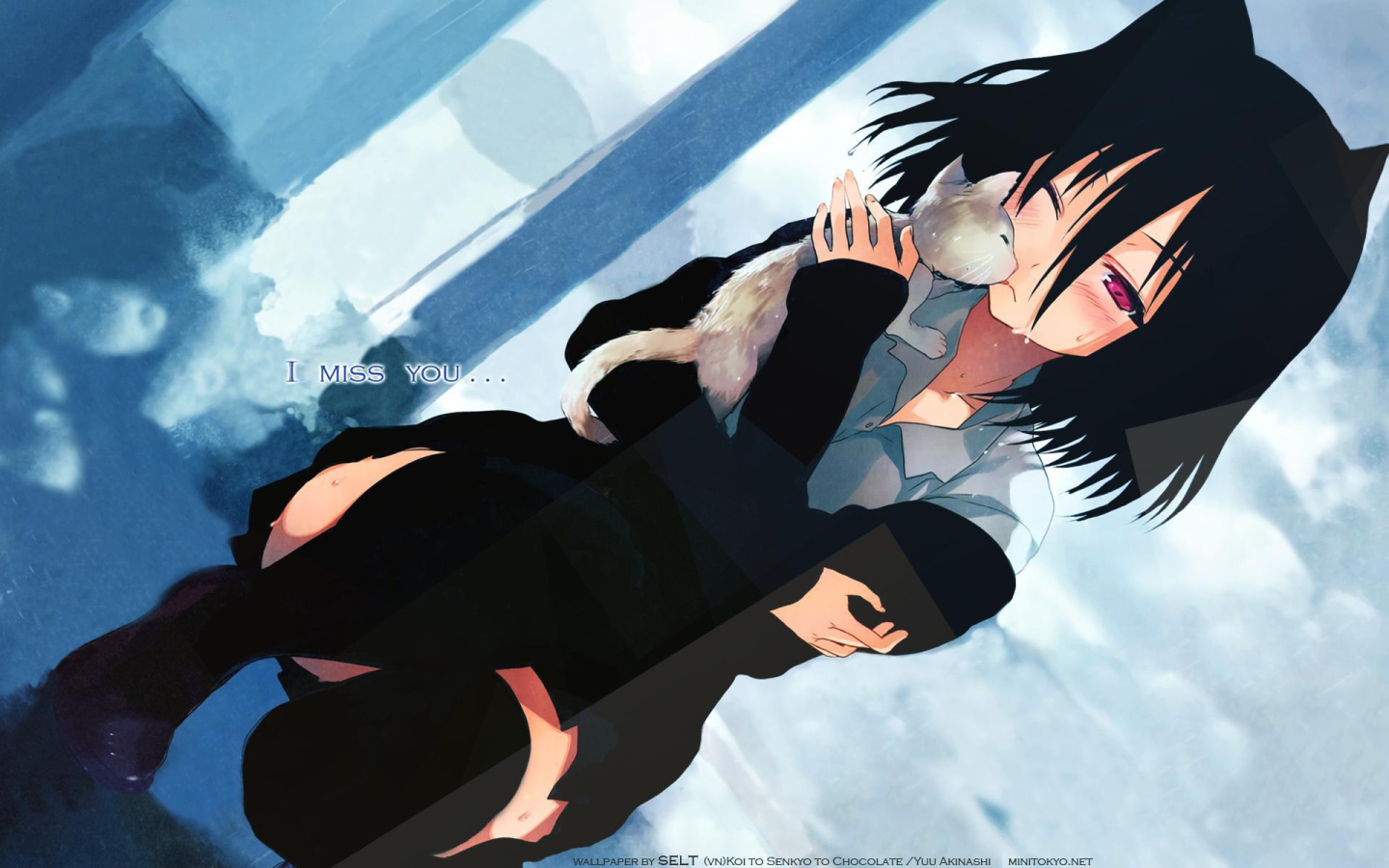 Любовь, выборы и шоколад