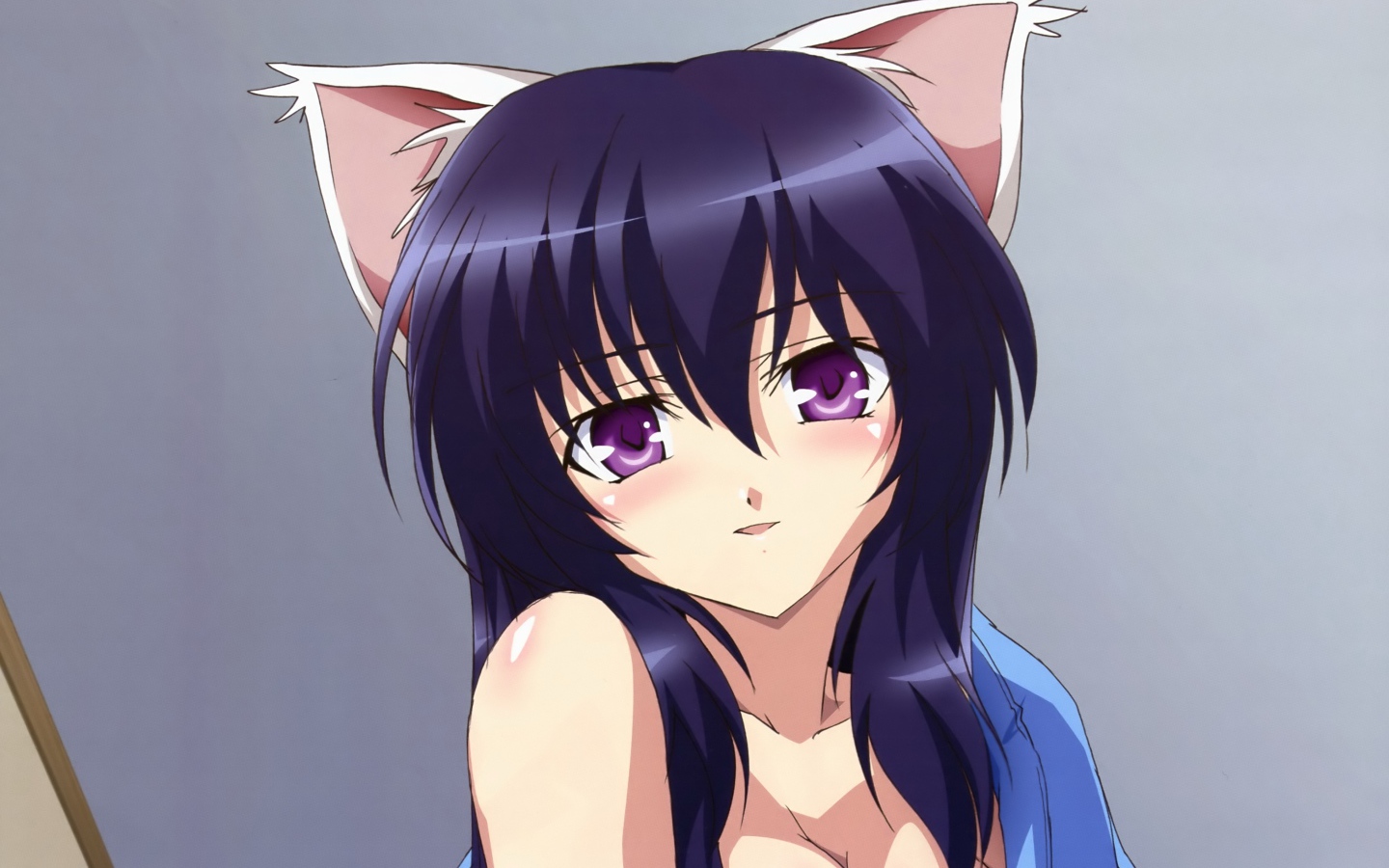 Моя хранительница Химари