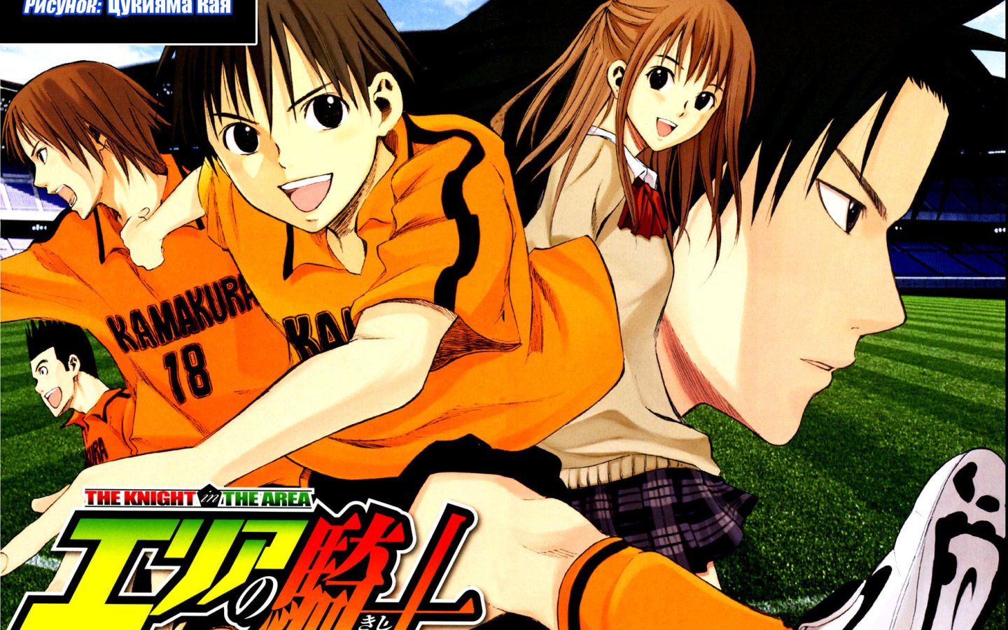 Паладин на поле