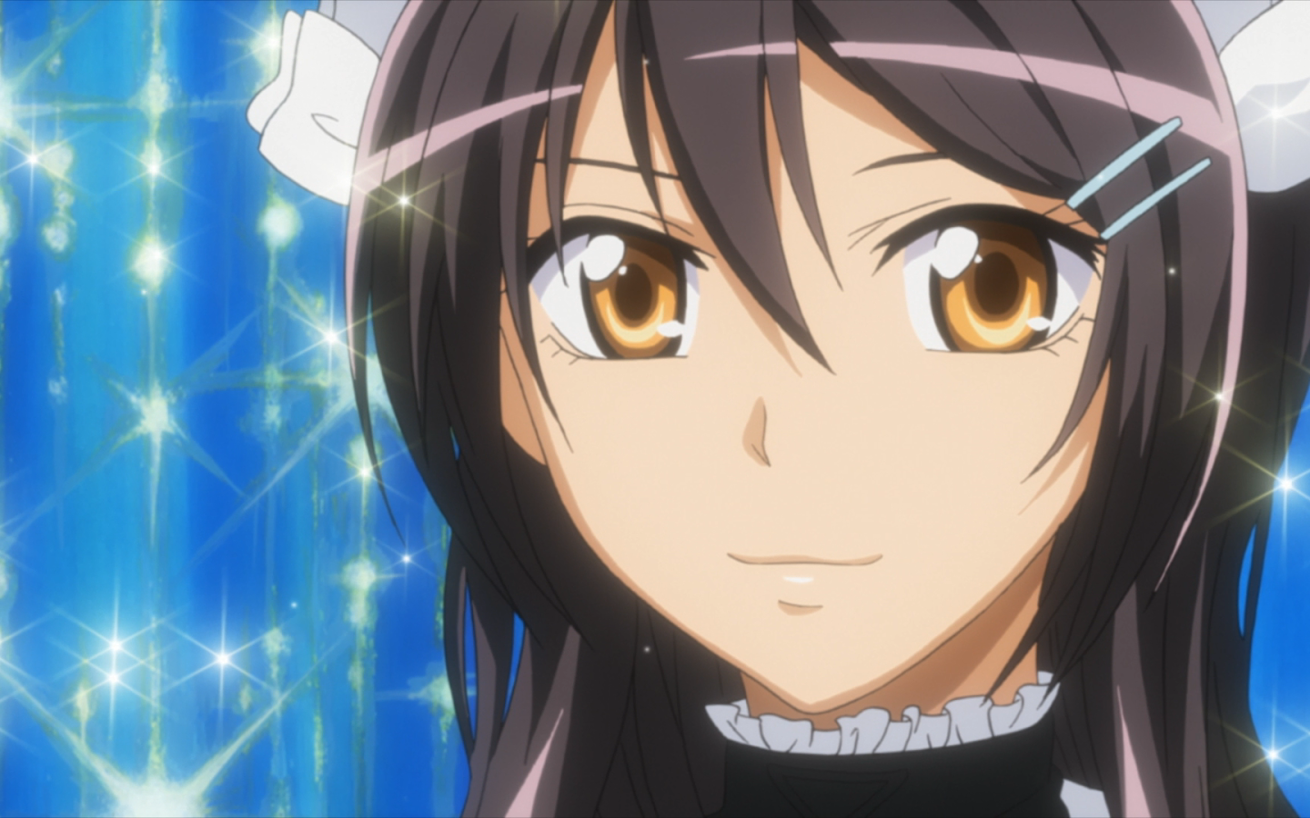 Президент учсовета - горничная!