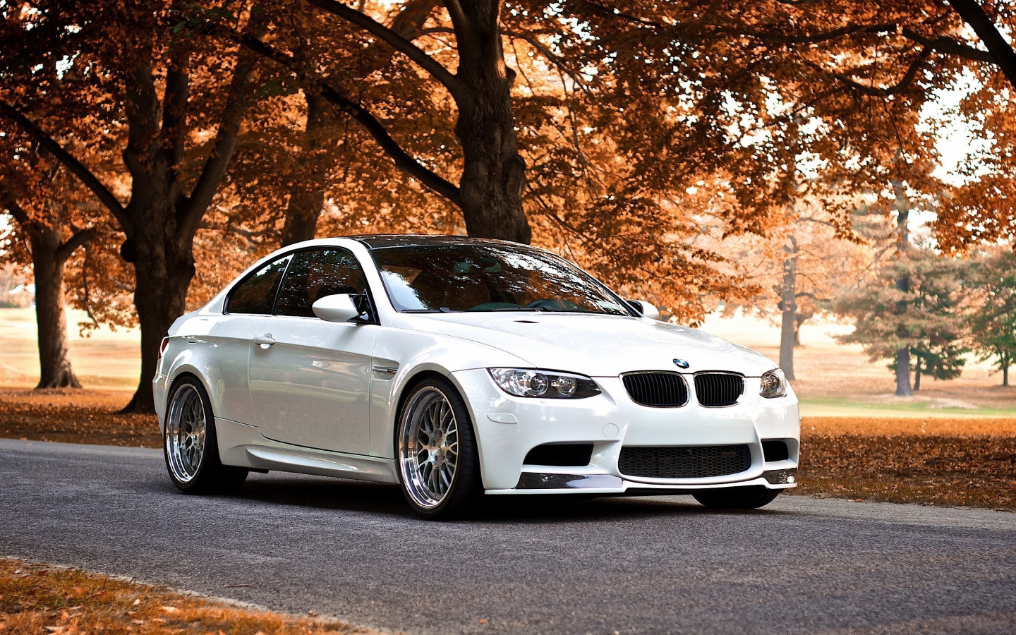 Белый BMW В осеннем парке