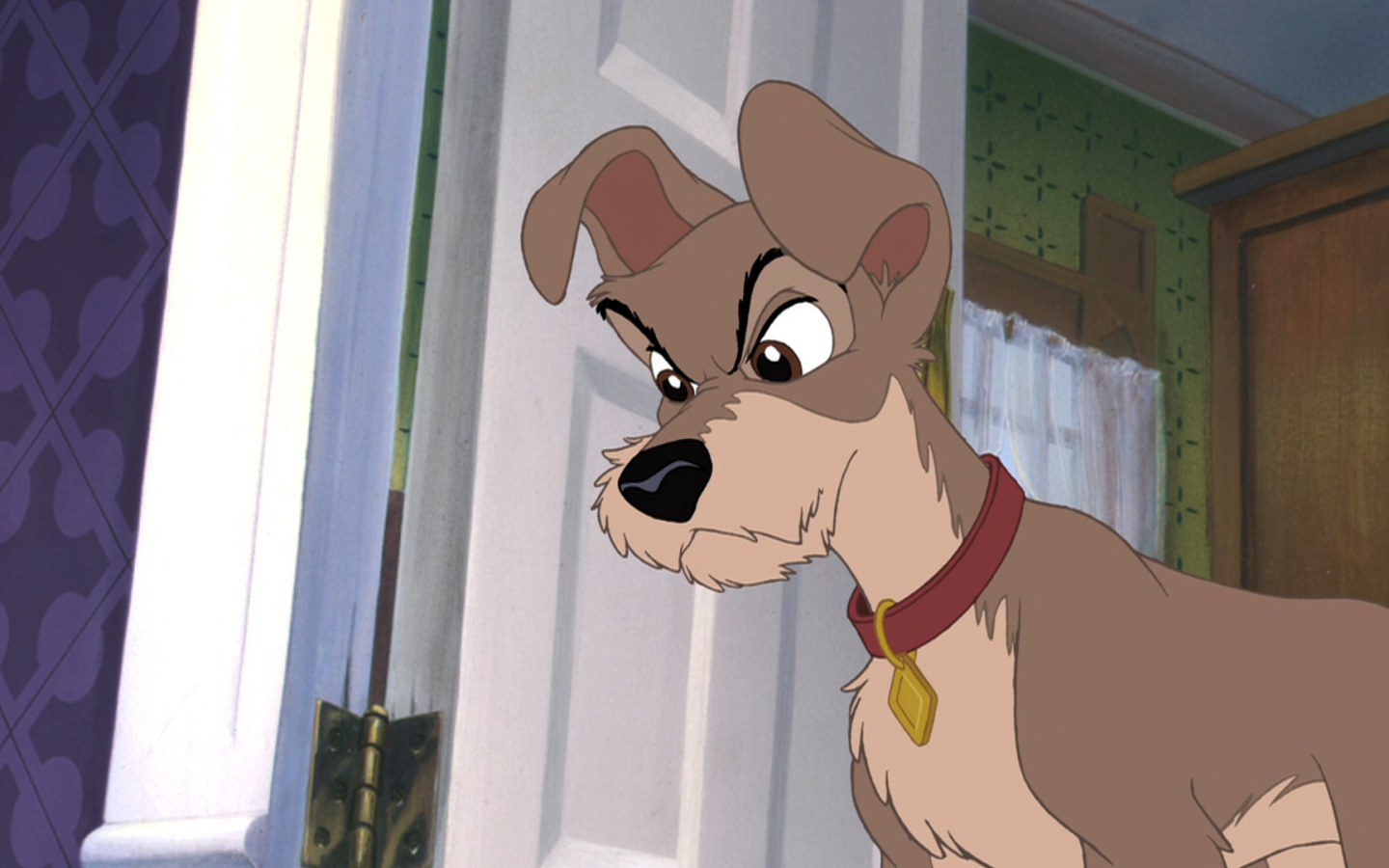 Приключения большого Джеффа