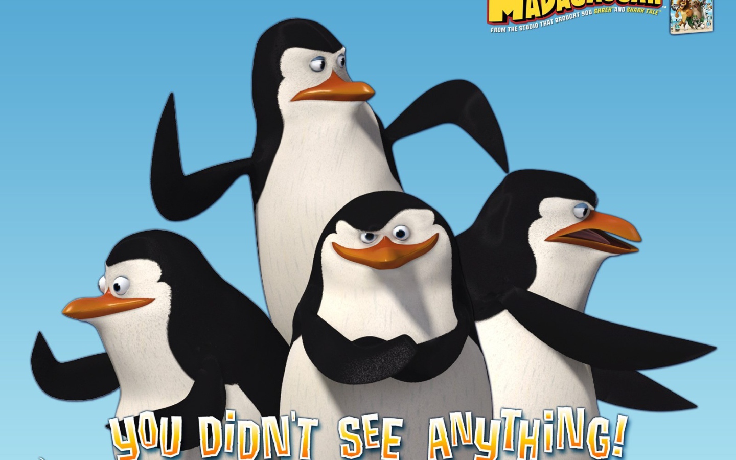 Пингвины из Мадагаскара