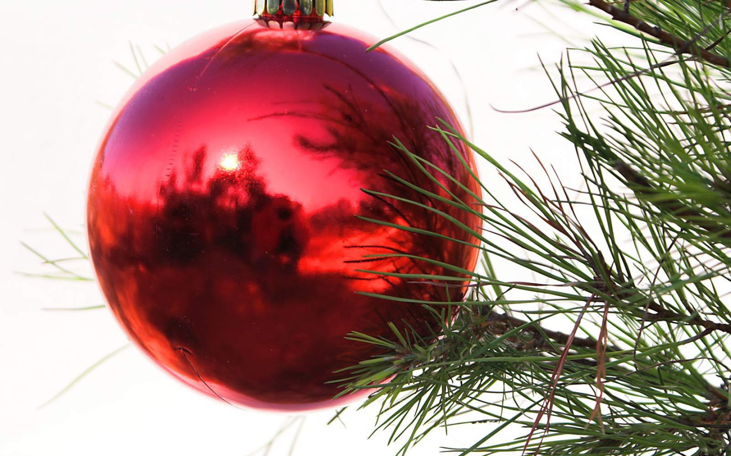 Красный шар на ёлке на рождество
