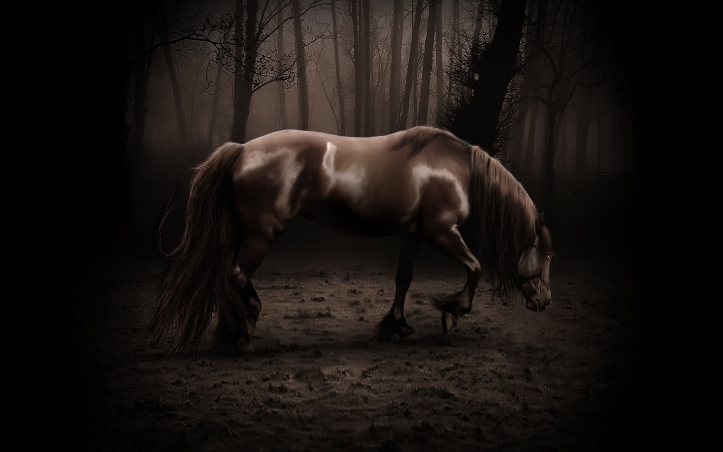 Старая лошадь