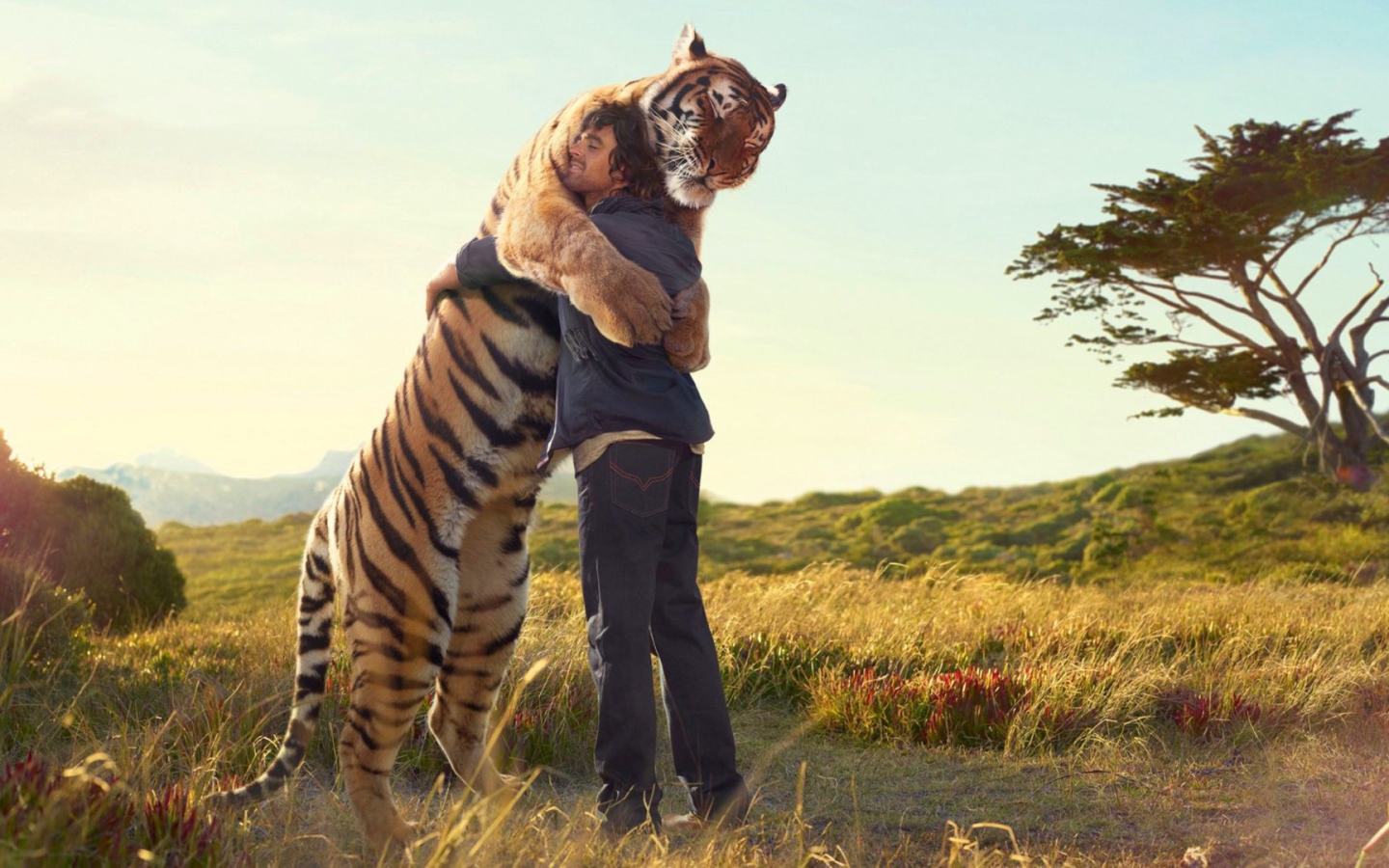 Друзья навеки