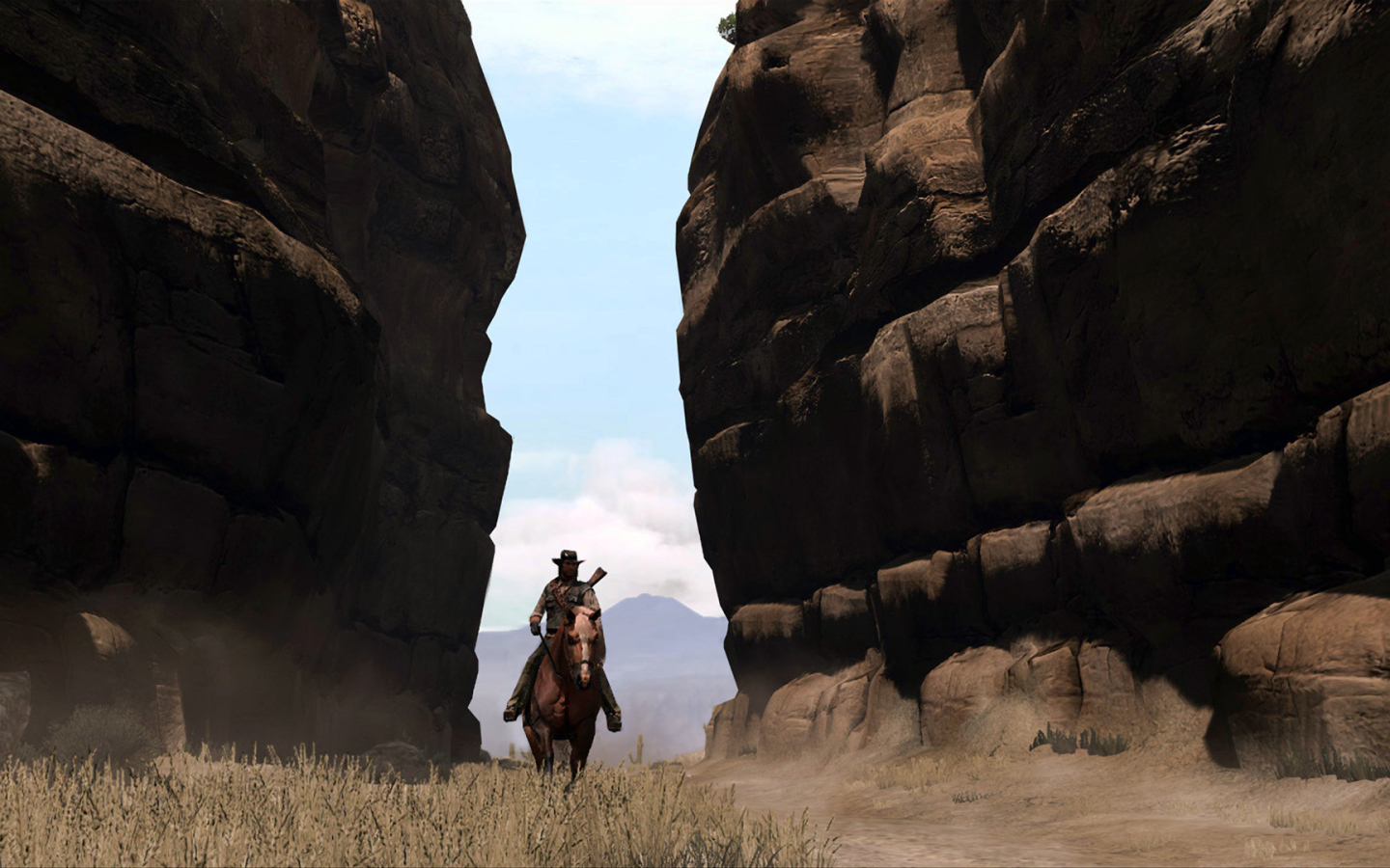 Всадник из видео игры