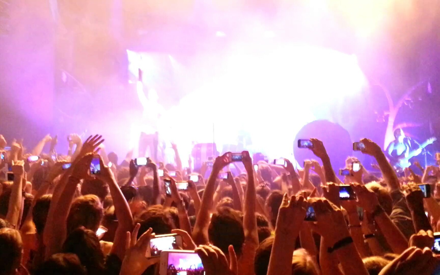 Imagine Dragons : выступления группы